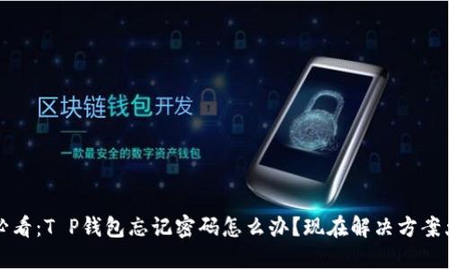2025必看：T P钱包忘记密码怎么办？现在解决方案大揭秘！