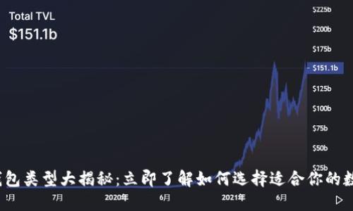 2023年虚拟币钱包类型大揭秘：立即了解如何选择适合你的数字资产管理工具