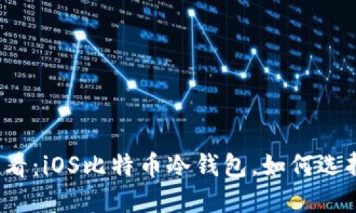 2025必看：iOS比特币冷钱包，如何选择和使用