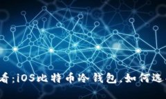 2025必看：iOS比特币冷钱包