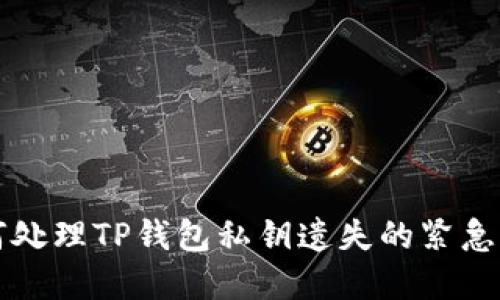2025必看：如何处理TP钱包私钥遗失的紧急指南，立即了解！