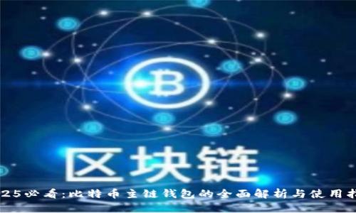 2025必看：比特币主链钱包的全面解析与使用指南