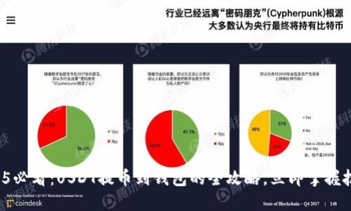 2025必看：USDT提币到钱包的全攻略，立即掌握技巧！