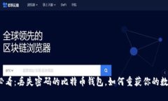 2025必看：丢失密码的比特