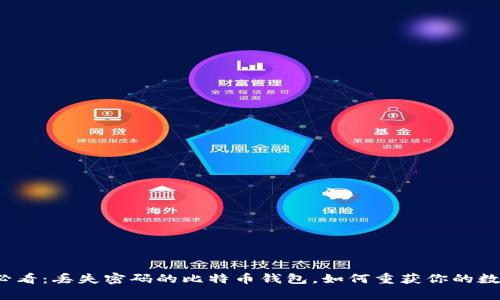 2025必看：丢失密码的比特币钱包，如何重获你的数字财富