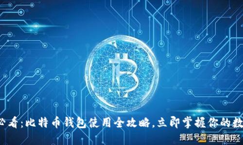 2025必看：比特币钱包使用全攻略，立即掌握你的数字资产