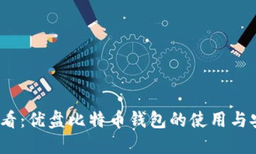 2025必看：优盘比特币钱包的使用与安全攻略