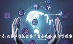 2025必看：比特币钱包文件