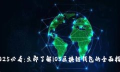 2025必看：立即了解iOS区块