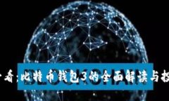 2025必看：比特币钱包3的全