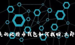 2025必看：丢失的比特币钱