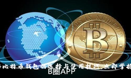 2025必看：揭秘比特币钱包的选择与使用技巧，立即掌握未来投资趋势！