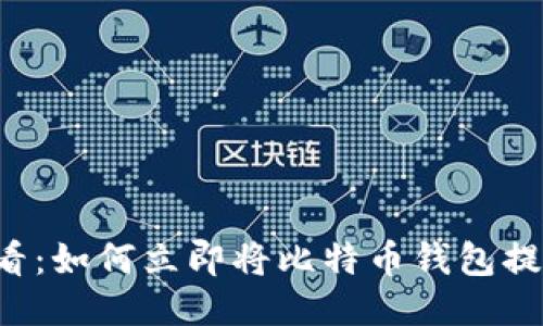 2025年必看：如何立即将比特币钱包提现到人民币