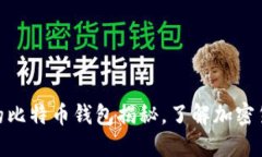 2025必看：最初的比特币钱