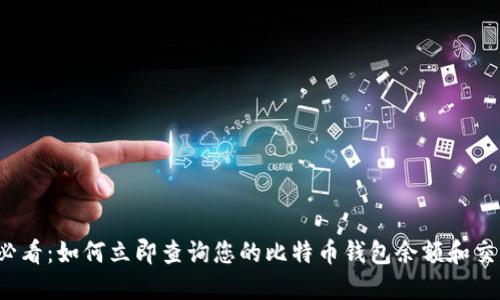 2025必看：如何立即查询您的比特币钱包余额和交易记录
