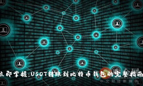 立即掌握：USDT转账到比特币钱包的完整指南！