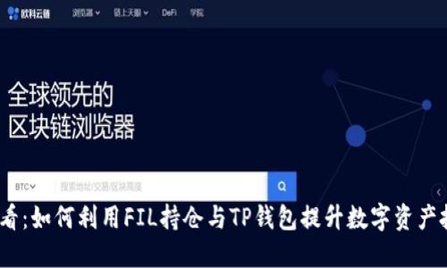 2025必看：如何利用FIL持仓与TP钱包提升数字资产投资回报