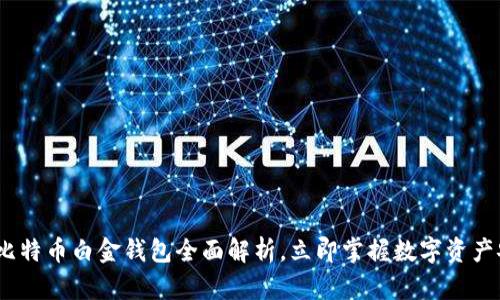 2025必看：比特币白金钱包全面解析，立即掌握数字资产安全新风向！