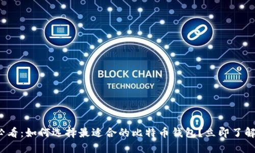 2025年必看：如何选择最适合的比特币钱包？立即了解实用指南