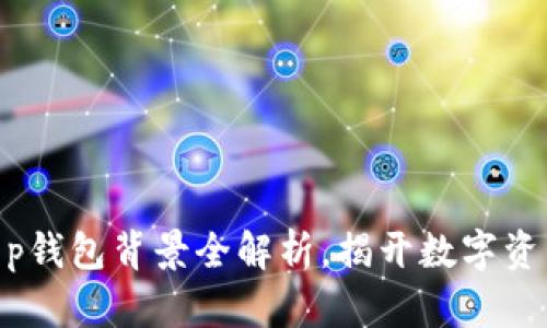2025必看：t p钱包背景全解析，揭开数字资产的神秘面纱