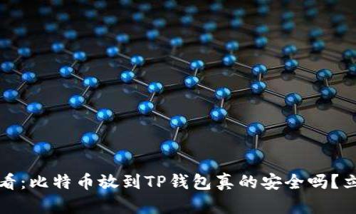 2025必看：比特币放到TP钱包真的安全吗？立即了解！