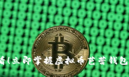 2025必看！立即掌握虚拟币芭蕾钱包使用教程