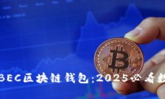 立即了解美图推BEC区块链钱包：2025必看数字资产