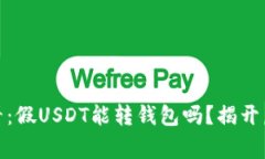 警惕！2025必看：假USDT能转钱包吗？揭开虚拟货币