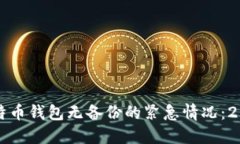 如何处理比特币钱包无备