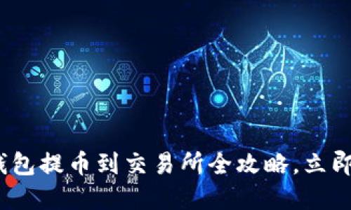 2025必看：TP钱包提币到交易所全攻略，立即掌握操作技巧！