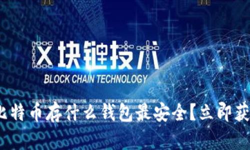 2025必看：比特币存什么钱包最安全？立即获取最新指南！