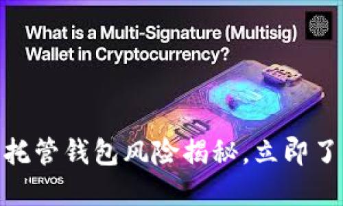 2025必看：虚拟币托管钱包风险揭秘，立即了解保护资产的方法
