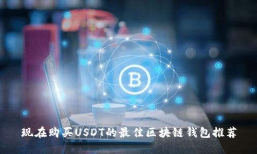 现在购买USDT的最佳区块链钱包推荐