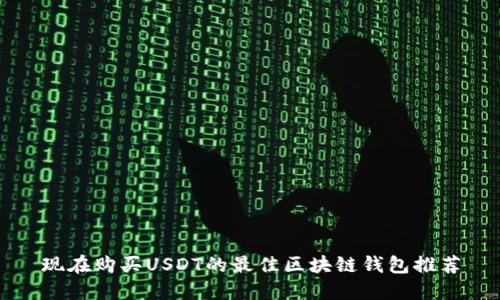 现在购买USDT的最佳区块链钱包推荐
