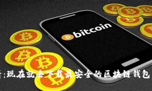 2025必看：现在就去下载最安全的区块链钱包查询官网！