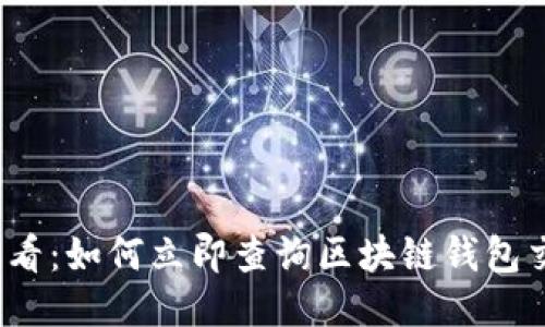 2025必看：如何立即查询区块链钱包交易记录
