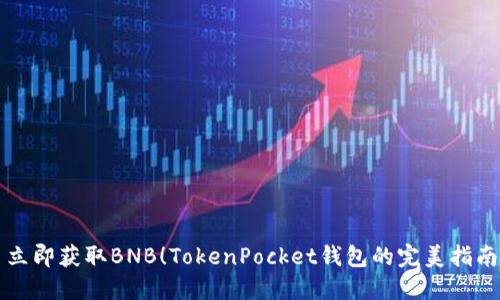 立即获取BNB！TokenPocket钱包的完美指南