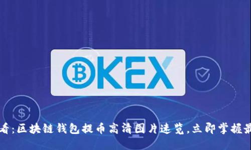 2025必看：区块链钱包提币高清图片速览，立即掌握最新动态！