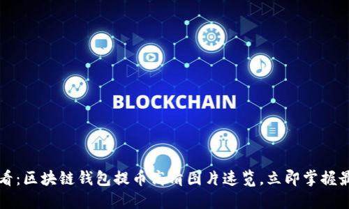 2025必看：区块链钱包提币高清图片速览，立即掌握最新动态！