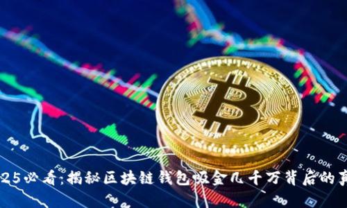 2025必看：揭秘区块链钱包吸金几千万背后的真相