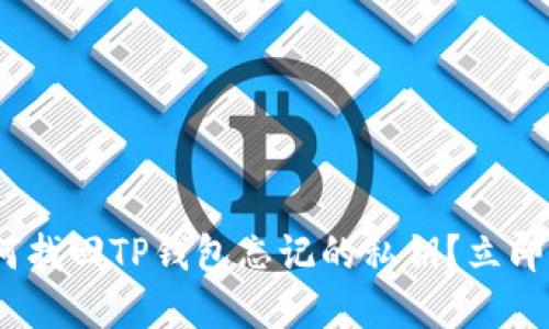 2025必看：如何找回TP钱包忘记的私钥？立即了解解决方案！