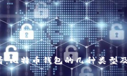 2025必看：比特币钱包的几种类型及选择指南