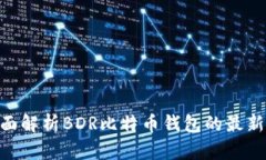 2025必看：全面解析BDR比特
