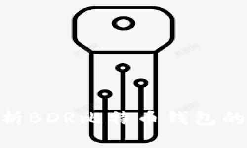 2025必看：全面解析BDR比特币钱包的最新功能与安全性