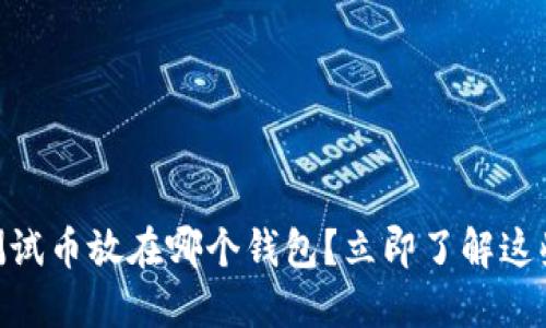 2025必看：以太坊测试币放在哪个钱包？立即了解这些安全与便捷的选择