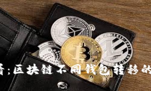 2025必看：区块链不同钱包转移的终极指南