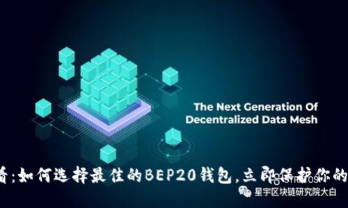 2025必看：如何选择最佳的BEP20钱包，立即保护你的加密资产