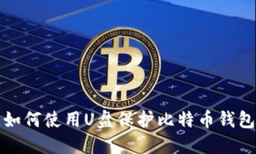 立即了解：如何使用U盘保护比特币钱包的安全性！