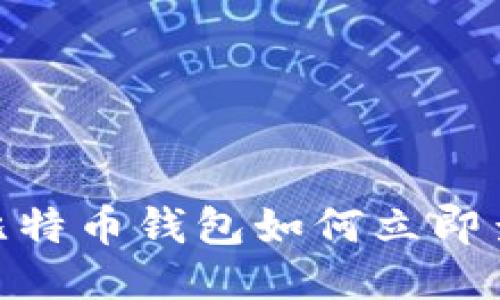 2025必看：比特币钱包如何立即查看剩余余额