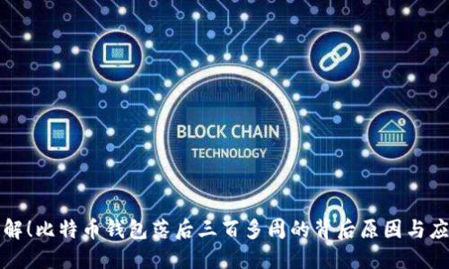 立即了解！比特币钱包落后三百多周的背后原因与应对策略
